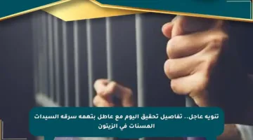 تنويه عاجل.. تفاصيل تحقيق اليوم مع عاطل بتهمة سرقة السيدات المسنات في الزيتون